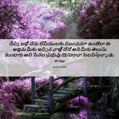 Picture 06 - మలాకీ 2:4 TELIRV - దీన్ని బట్టి నేను - Bible Verse Picture