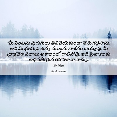 Picture 06 - మలాకీ 3:11 TELIRV - “మీ పంటను - Bible Verse Picture