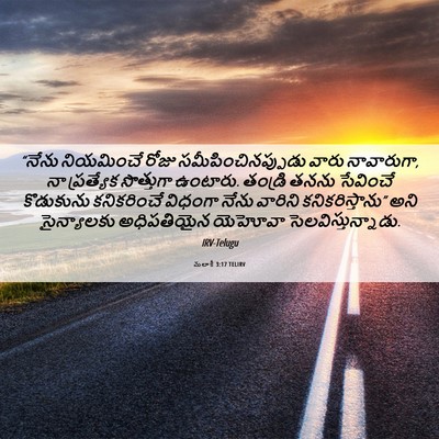Picture 06 - మలాకీ 3:17 TELIRV - “నేను నియమించే - Bible Verse Picture