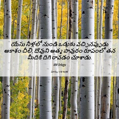 Picture 06 - మార్కు 1:10 TELIRV - యేసు నీళ్లలో - Bible Verse Picture