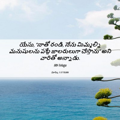 Picture 06 - మార్కు 1:17 TELIRV - యేసు, “నాతో రండి, - Bible Verse Picture
