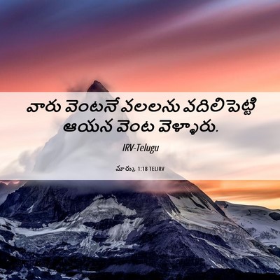 Picture 06 - మార్కు 1:18 TELIRV - వారు వెంటనే వలలను - Bible Verse Picture