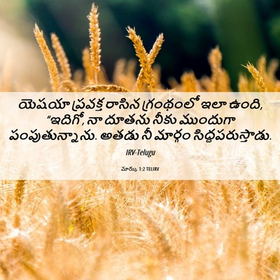 Picture 06 - మార్కు 1:2 TELIRV - యెషయా ప్రవక్త - Bible Verse Picture