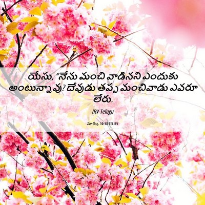 Picture 06 - మార్కు 10:18 TELIRV - యేసు, “నేను మంచి - Bible Verse Picture