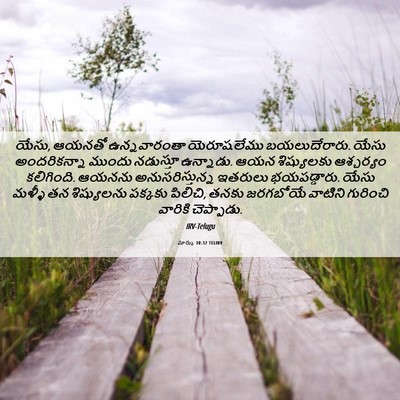 Picture 06 - మార్కు 10:32 TELIRV - యేసు, ఆయనతో - Bible Verse Picture