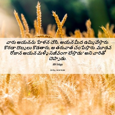 Picture 06 - మార్కు 10:34 TELIRV - వారు ఆయనను హేళన - Bible Verse Picture