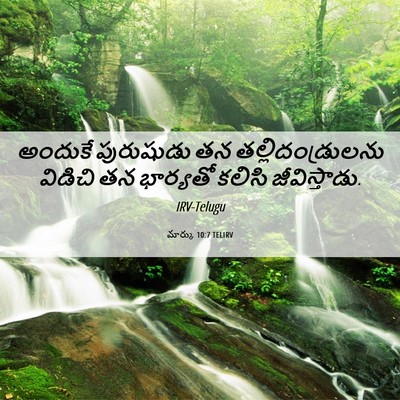Picture 06 - మార్కు 10:7 TELIRV - అందుకే పురుషుడు - Bible Verse Picture