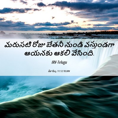 Picture 06 - మార్కు 11:12 TELIRV - మరుసటి రోజు బేతనీ - Bible Verse Picture