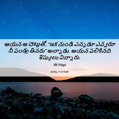 Picture 06 - మార్కు 11:14 TELIRV - ఆయన ఆ చెట్టుతో, “ఇక - Bible Verse Picture