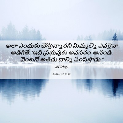 Picture 06 - మార్కు 11:3 TELIRV - అలా ఎందుకు - Bible Verse Picture