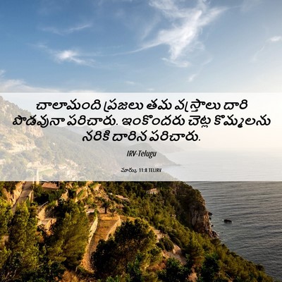Picture 06 - మార్కు 11:8 TELIRV - చాలామంది ప్రజలు - Bible Verse Picture
