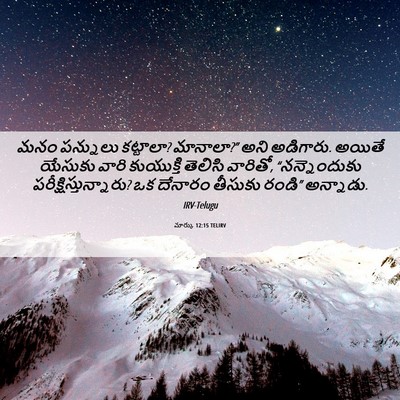 Picture 06 - మార్కు 12:15 TELIRV - మనం పన్నులు - Bible Verse Picture