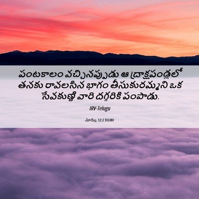 Picture 06 - మార్కు 12:2 TELIRV - పంటకాలం - Bible Verse Picture