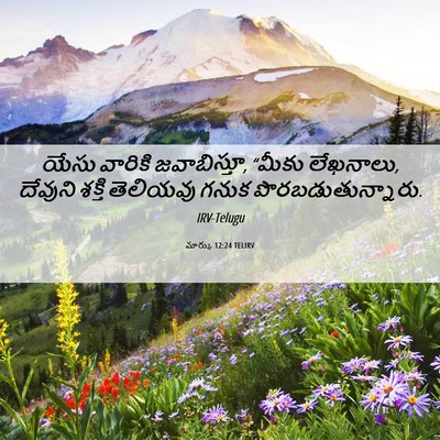Picture 06 - మార్కు 12:24 TELIRV - యేసు వారికి - Bible Verse Picture