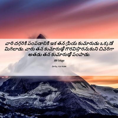 Picture 06 - మార్కు 12:6 TELIRV - వారి దగ్గరికి - Bible Verse Picture