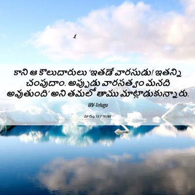 Picture 06 - మార్కు 12:7 TELIRV - కాని ఆ కౌలుదారులు - Bible Verse Picture