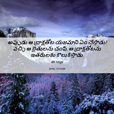 Picture 06 - మార్కు 12:9 TELIRV - అప్పుడు ఆ - Bible Verse Picture