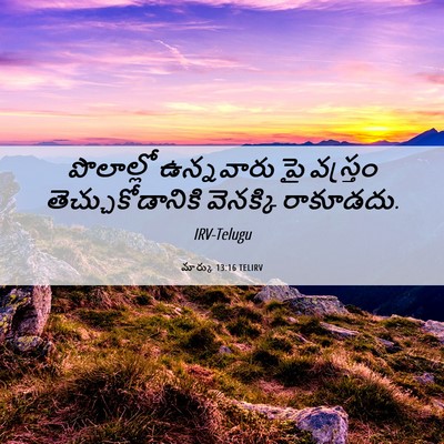 Picture 06 - మార్కు 13:16 TELIRV - పొలాల్లో ఉన్నవారు - Bible Verse Picture
