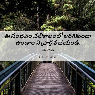 Picture 06 - మార్కు 13:18 TELIRV - ఈ సంభవం చలికాలంలో - Bible Verse Picture