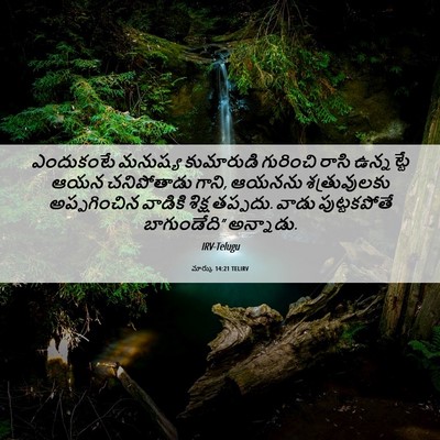 Picture 06 - మార్కు 14:21 TELIRV - ఎందుకంటే మనుష్య - Bible Verse Picture