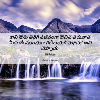 Picture 06 - మార్కు 14:28 TELIRV - కాని నేను తిరిగి - Bible Verse Picture