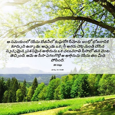 Picture 06 - మార్కు 14:3 TELIRV - ఆ సమయంలో యేసు - Bible Verse Picture