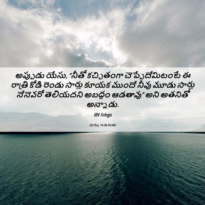 Picture 06 - మార్కు 14:30 TELIRV - అప్పుడు యేసు, - Bible Verse Picture
