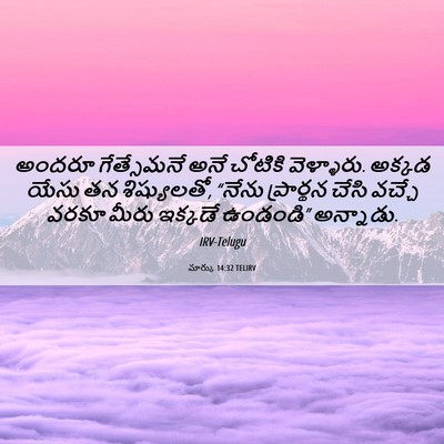 Picture 06 - మార్కు 14:32 TELIRV - అందరూ గేత్సేమనే - Bible Verse Picture