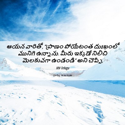 Picture 06 - మార్కు 14:34 TELIRV - ఆయన వారితో, - Bible Verse Picture
