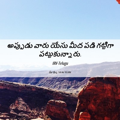 Picture 06 - మార్కు 14:46 TELIRV - అప్పుడు వారు యేసు - Bible Verse Picture