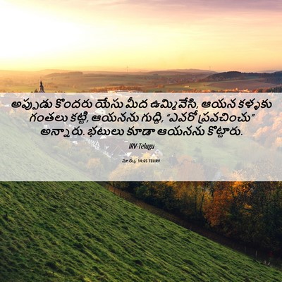 Picture 06 - మార్కు 14:65 TELIRV - అప్పుడు కొందరు - Bible Verse Picture