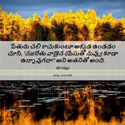Picture 06 - మార్కు 14:67 TELIRV - పేతురు చలి - Bible Verse Picture