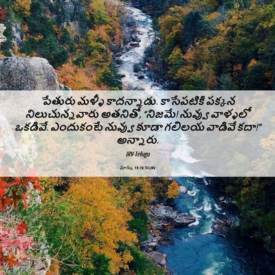 Picture 06 - మార్కు 14:70 TELIRV - పేతురు మళ్ళీ - Bible Verse Picture