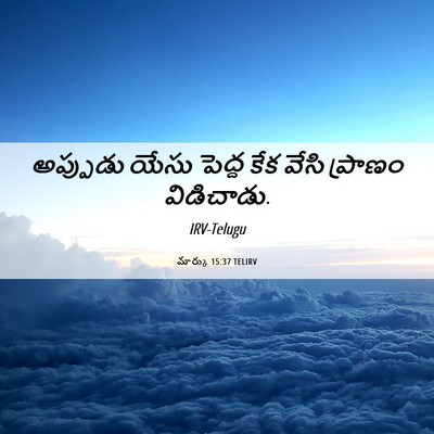 Picture 06 - మార్కు 15:37 TELIRV - అప్పుడు యేసు - Bible Verse Picture