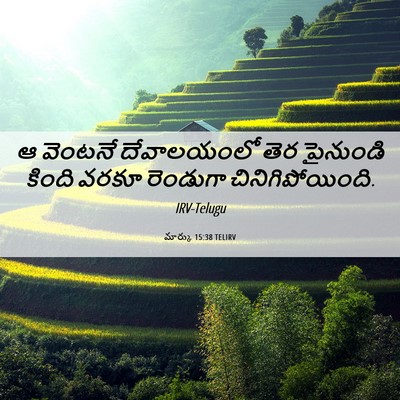 Picture 06 - మార్కు 15:38 TELIRV - ఆ వెంటనే - Bible Verse Picture