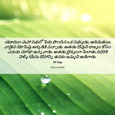 Picture 06 - మార్కు 15:43 TELIRV - యూదుల మహా సభలో - Bible Verse Picture