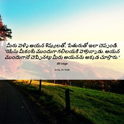 Picture 06 - మార్కు 16:7 TELIRV - మీరు వెళ్ళి ఆయన - Bible Verse Picture