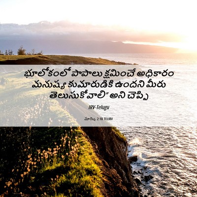 Picture 06 - మార్కు 2:10 TELIRV - భూలోకంలో పాపాలు - Bible Verse Picture