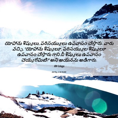Picture 06 - మార్కు 2:18 TELIRV - యోహాను శిష్యులు, - Bible Verse Picture