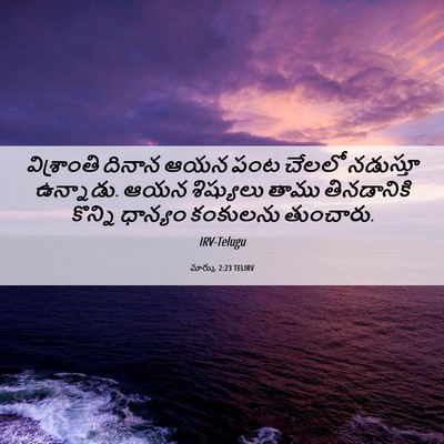 Picture 06 - మార్కు 2:23 TELIRV - విశ్రాంతి దినాన - Bible Verse Picture