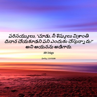 Picture 06 - మార్కు 2:24 TELIRV - పరిసయ్యులు, “చూడు, - Bible Verse Picture