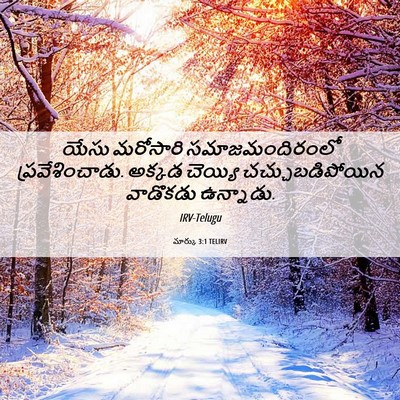 Picture 06 - మార్కు 3:1 TELIRV - యేసు మరోసారి - Bible Verse Picture