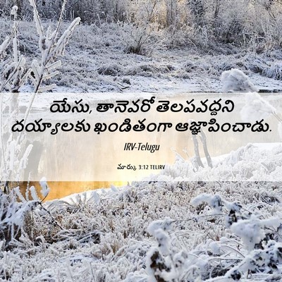 Picture 06 - మార్కు 3:12 TELIRV - యేసు, తానెవరో - Bible Verse Picture