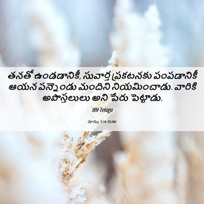 Picture 06 - మార్కు 3:14 TELIRV - తనతో ఉండడానికీ, - Bible Verse Picture