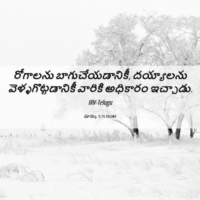 Picture 06 - మార్కు 3:15 TELIRV - రోగాలను - Bible Verse Picture