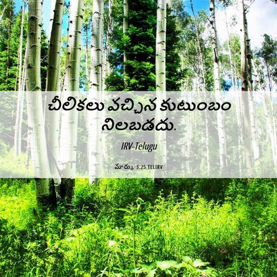 Picture 06 - మార్కు 3:25 TELIRV - చీలికలు వచ్చిన - Bible Verse Picture