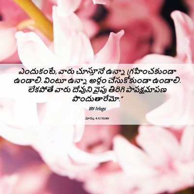 Picture 06 - మార్కు 4:12 TELIRV - ఎందుకంటే, వారు - Bible Verse Picture