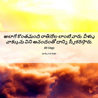 Picture 06 - మార్కు 4:16 TELIRV - అలాగే కొంతమంది - Bible Verse Picture