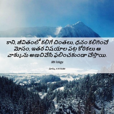 Picture 06 - మార్కు 4:19 TELIRV - కాని, జీవితంలో - Bible Verse Picture