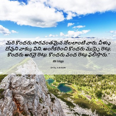 Picture 06 - మార్కు 4:20 TELIRV - మరి కొందరు - Bible Verse Picture